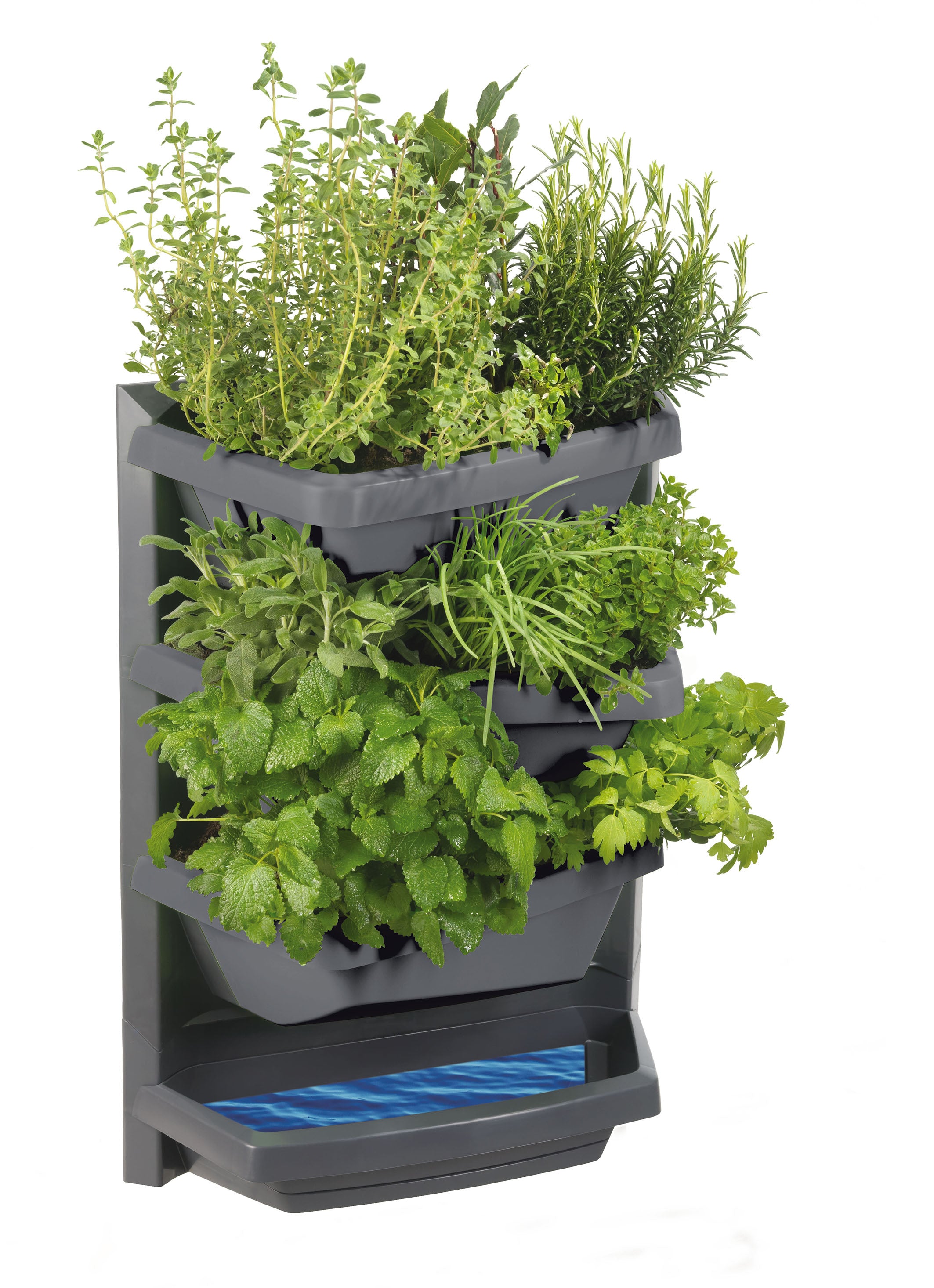 Vertical Garden Grundelement - titan mit titan